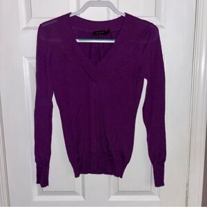 Y2K The Limited women’s size s purple layering v neck sweater